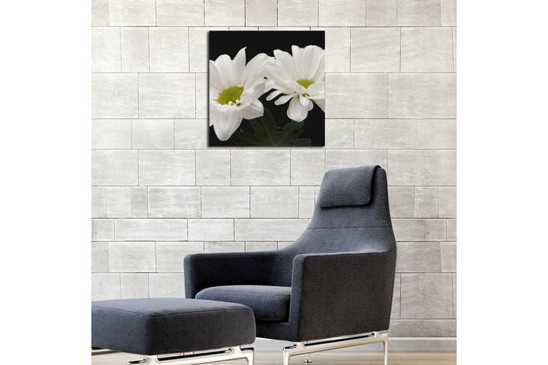 Dekorativt Canvas Maleri - Flerfarvet - Boligtilbehør - Billeder & kunst - Billeder på lærred