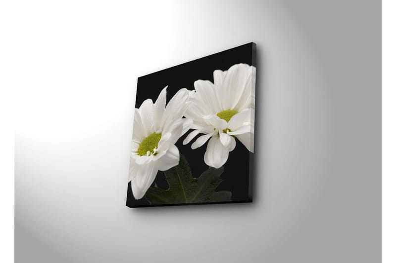 Dekorativt Canvas Maleri - Flerfarvet - Boligtilbehør - Billeder & kunst - Billeder på lærred