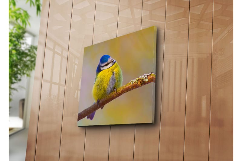 Dekorativt Canvas Maleri - Flerfarvet - Boligtilbehør - Billeder & kunst - Billeder på lærred