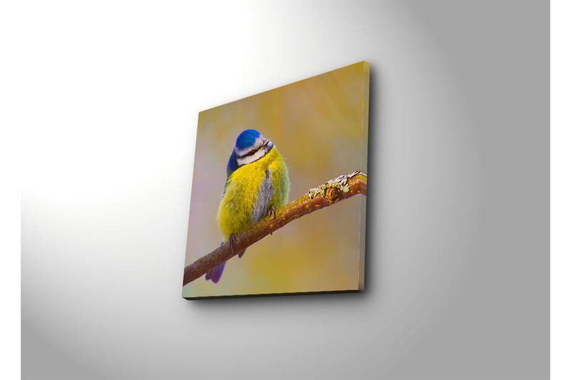 Dekorativt Canvas Maleri - Flerfarvet - Boligtilbehør - Billeder & kunst - Billeder på lærred