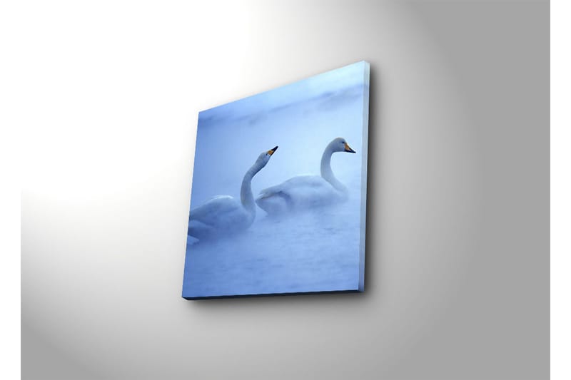 Dekorativt Canvas Maleri - Flerfarvet - Boligtilbehør - Billeder & kunst - Billeder på lærred