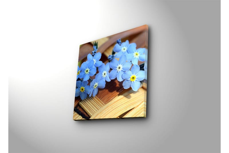Dekorativt Canvas Maleri - Flerfarvet - Boligtilbehør - Billeder & kunst - Billeder på lærred