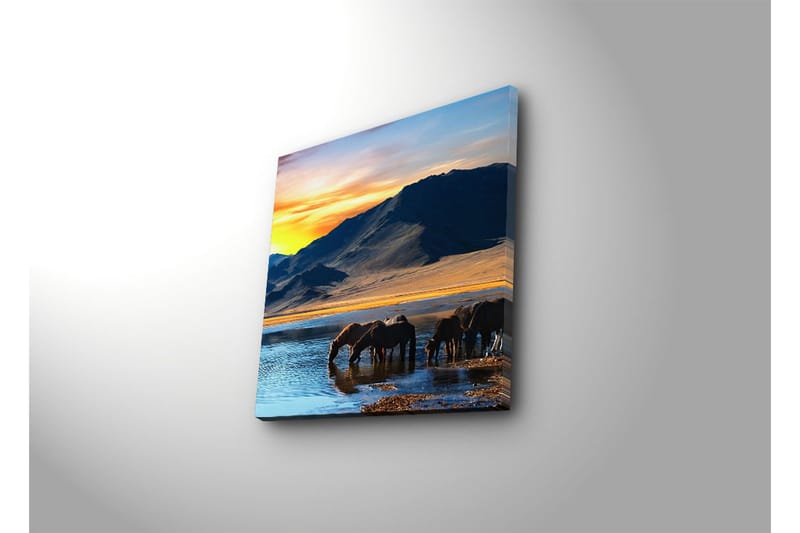 Dekorativt Canvas Maleri - Flerfarvet - Boligtilbehør - Billeder & kunst - Billeder på lærred