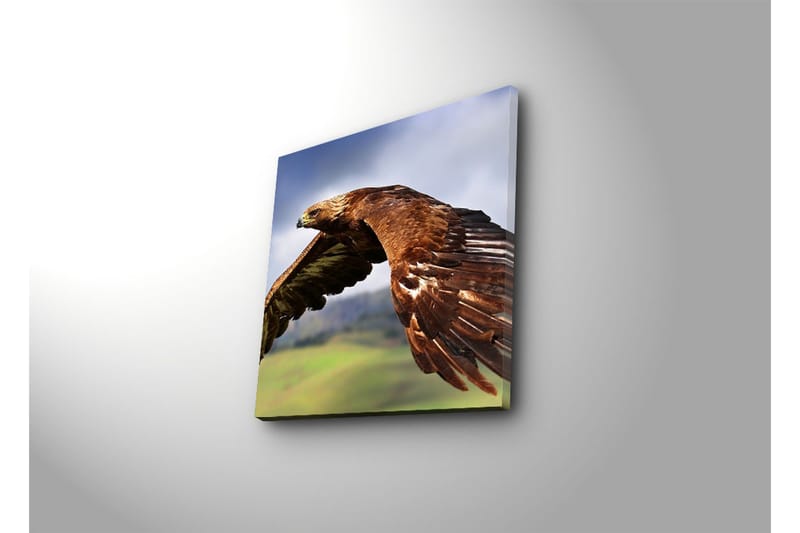 Dekorativt Canvas Maleri - Flerfarvet - Boligtilbehør - Billeder & kunst - Billeder på lærred