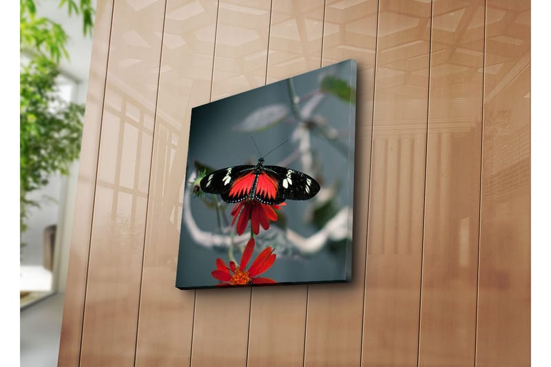 Dekorativt Canvas Maleri - Flerfarvet - Boligtilbehør - Billeder & kunst - Billeder på lærred