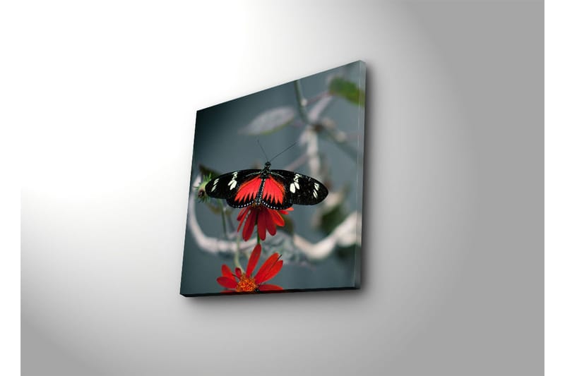 Dekorativt Canvas Maleri - Flerfarvet - Boligtilbehør - Billeder & kunst - Billeder på lærred