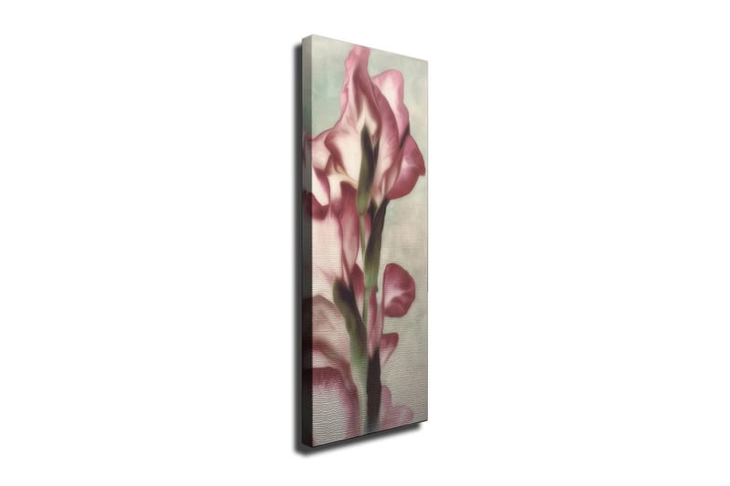 Dekorativt Canvas Maleri - Flerfarvet - Boligtilbehør - Billeder & kunst - Billeder på lærred