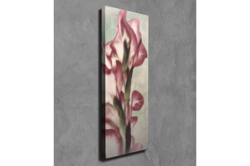 Dekorativt Canvas Maleri - Flerfarvet - Boligtilbehør - Billeder & kunst - Billeder på lærred