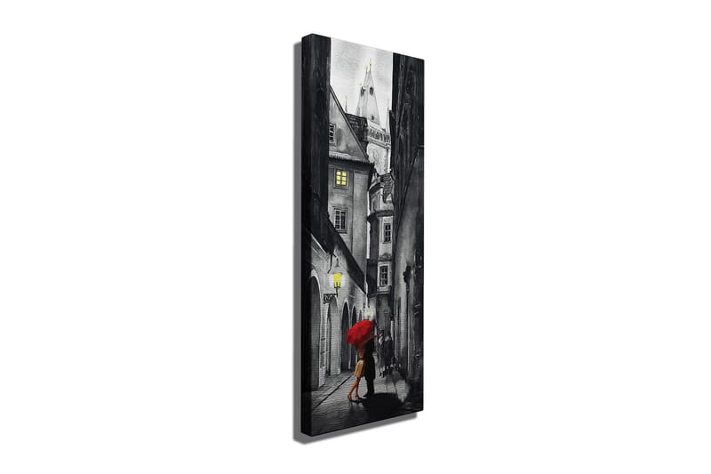 Dekorativt Canvas Maleri - Flerfarvet - Boligtilbehør - Billeder & kunst - Billeder på lærred