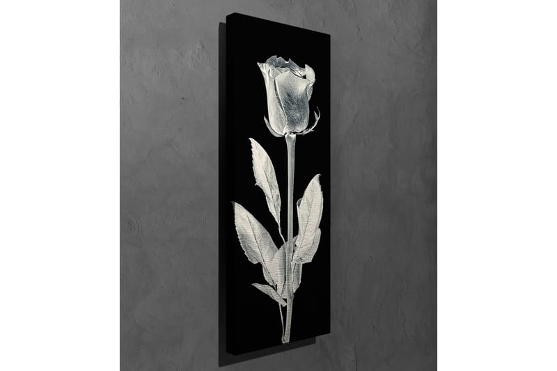 Dekorativt Canvas Maleri - Flerfarvet - Boligtilbehør - Billeder & kunst - Billeder på lærred