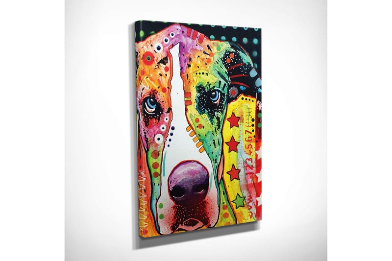 Dekorativt Canvas Maleri - Flerfarvet - Boligtilbehør - Billeder & kunst - Billeder på lærred