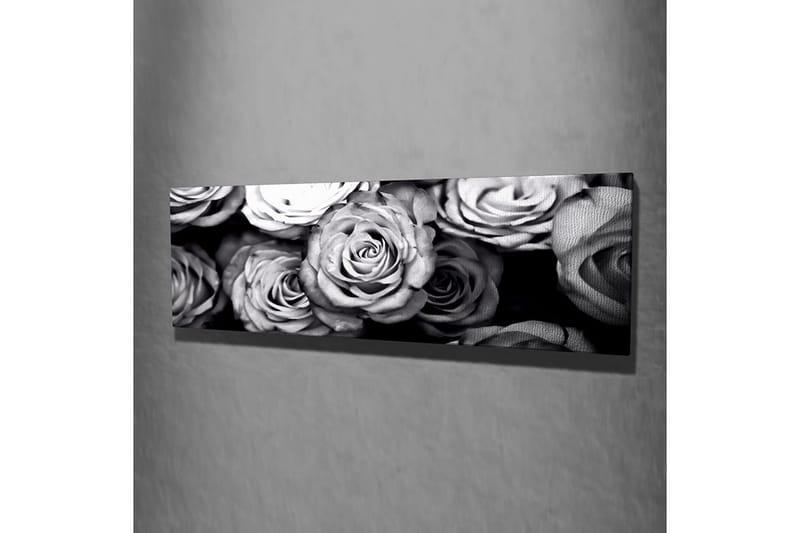 Dekorativt Canvas Maleri - Flerfarvet - Boligtilbehør - Billeder & kunst - Billeder på lærred