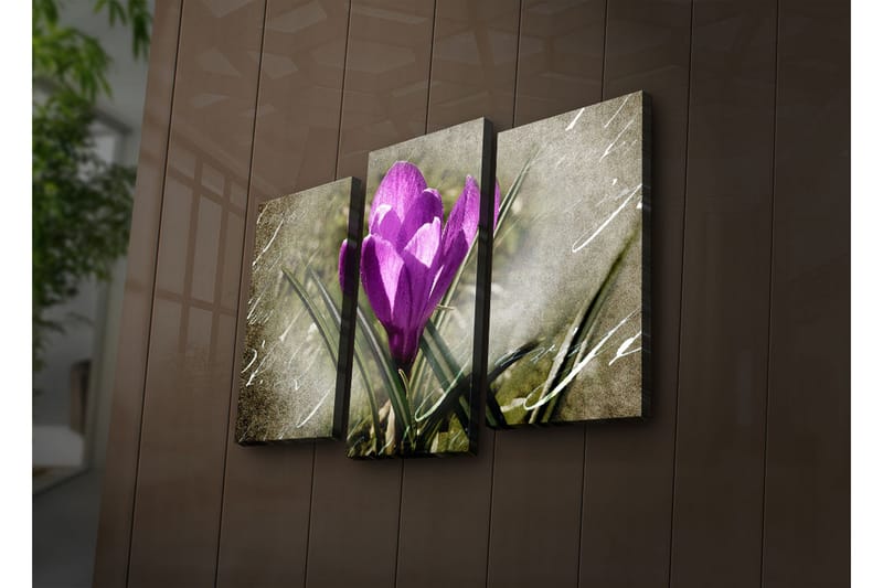 Dekorativt Canvas Maleri LED-belysning 3 Dele - Flerfarvet - Boligtilbehør - Billeder & kunst - Billeder på lærred