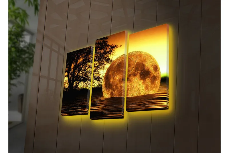 Dekorativt Canvas Maleri LED-belysning 3 Dele, Flerfarvet