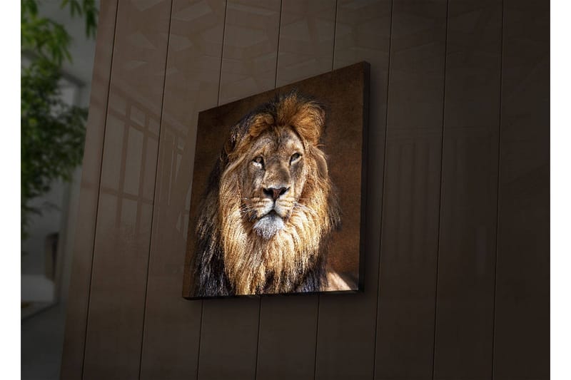 Dekorativt Canvas Maleri LED-belysning - Flerfarvet - Boligtilbehør - Billeder & kunst - Billeder på lærred