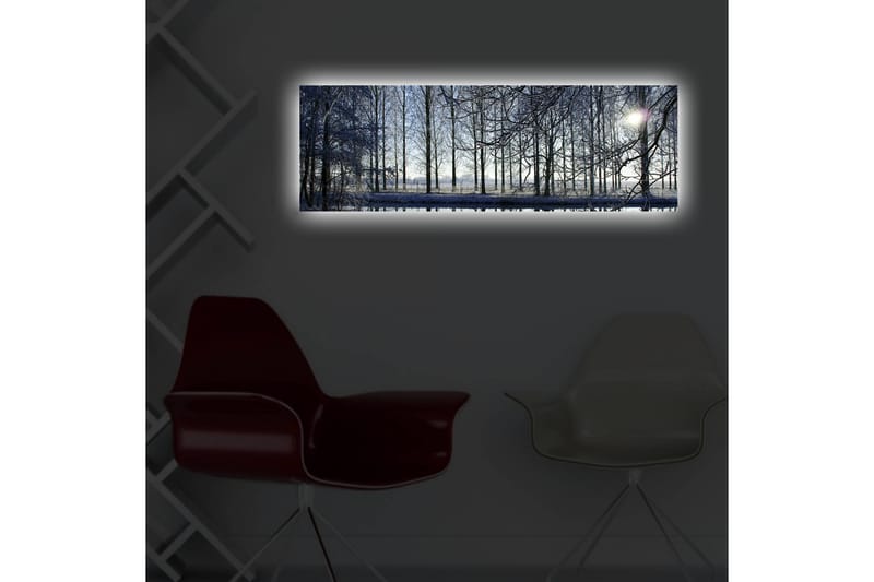 Dekorativt Canvas Maleri LED-belysning - Flerfarvet - Boligtilbehør - Billeder & kunst - Billeder på lærred