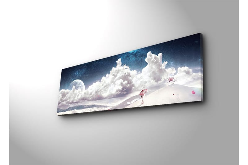 Dekorativt Canvas Maleri LED-belysning - Flerfarvet - Boligtilbehør - Billeder & kunst - Billeder på lærred