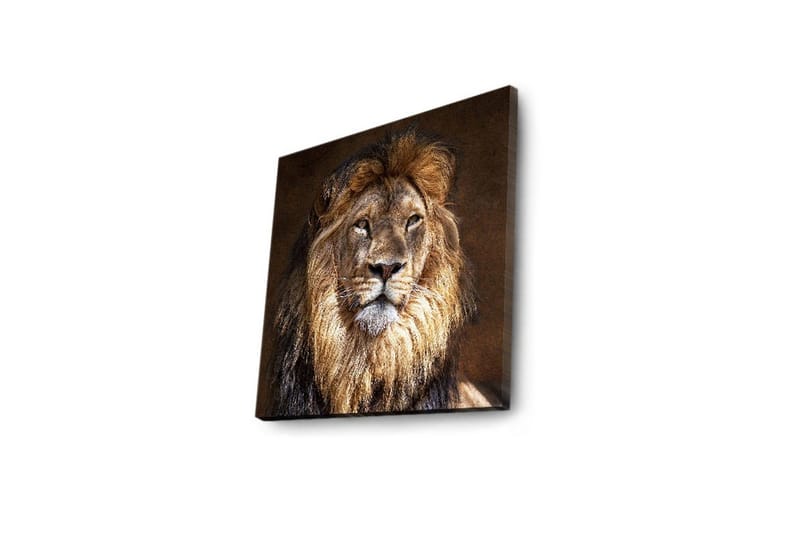 Dekorativt Canvas Maleri LED-belysning - Flerfarvet - Boligtilbehør - Billeder & kunst - Billeder på lærred