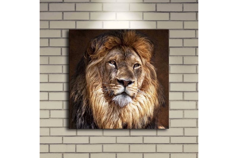 Dekorativt Canvas Maleri LED-belysning - Flerfarvet - Boligtilbehør - Billeder & kunst - Billeder på lærred