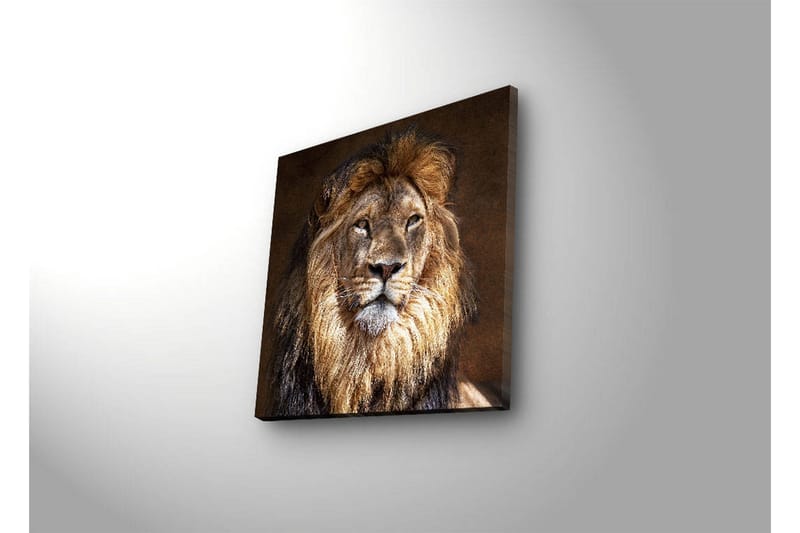 Dekorativt Canvas Maleri LED-belysning - Flerfarvet - Boligtilbehør - Billeder & kunst - Billeder på lærred