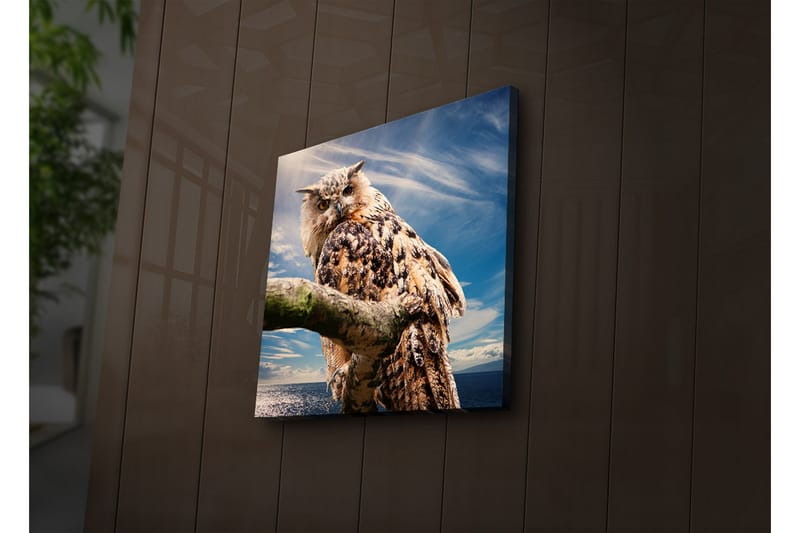Dekorativt Canvas Maleri LED-belysning - Flerfarvet - Boligtilbehør - Billeder & kunst - Billeder på lærred