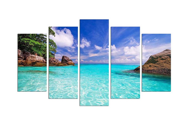 Dekorativt MDF-Maleri 5 Dele, Flerfarvet