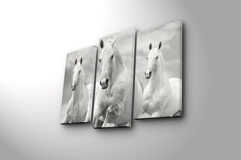 Fototapet 3 stk Flerfarvet - 22x03 cm - Boligtilbehør - Billeder & kunst - Billeder på lærred