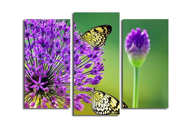 Fototapet 3 stk Flerfarvet - 22x03 cm - Boligtilbehør - Billeder & kunst - Billeder på lærred