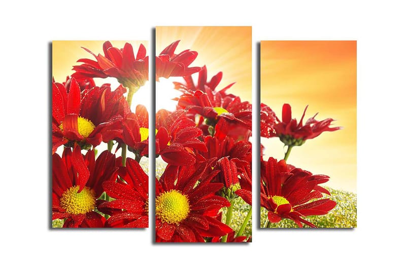 Fototapet 3 stk Flerfarvet - 22x03 cm - Boligtilbehør - Billeder & kunst - Billeder på lærred