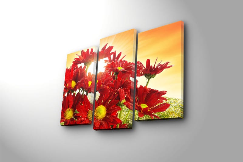 Fototapet 3 stk Flerfarvet - 22x03 cm - Boligtilbehør - Billeder & kunst - Billeder på lærred