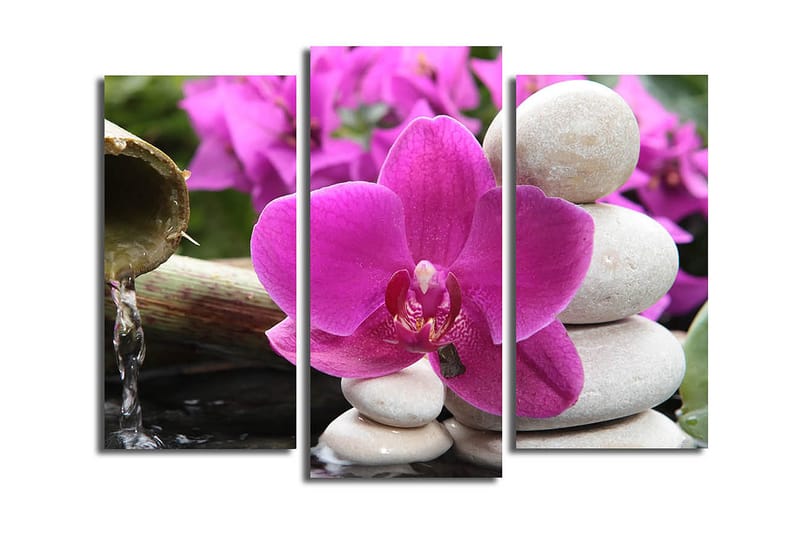 Fototapet 3 stk Flerfarvet, 22x03 cm