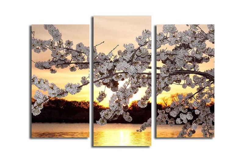 Fototapet 3 stk Flerfarvet, 22x03 cm