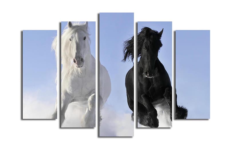 Fototapet 5 stk Flerfarvet - 11x96 cm - Boligtilbehør - Billeder & kunst - Billeder på lærred