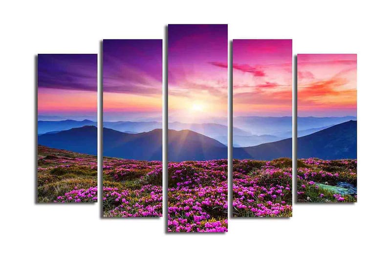 Fototapet 5 stk Flerfarvet - 11x96 cm - Boligtilbehør - Billeder & kunst - Billeder på lærred