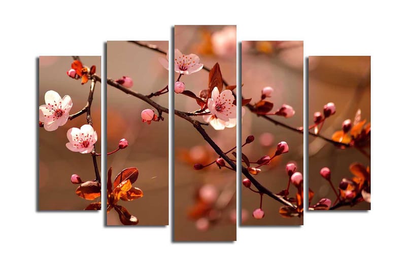 Fototapet 5 stk Flerfarvet, 11x96 cm