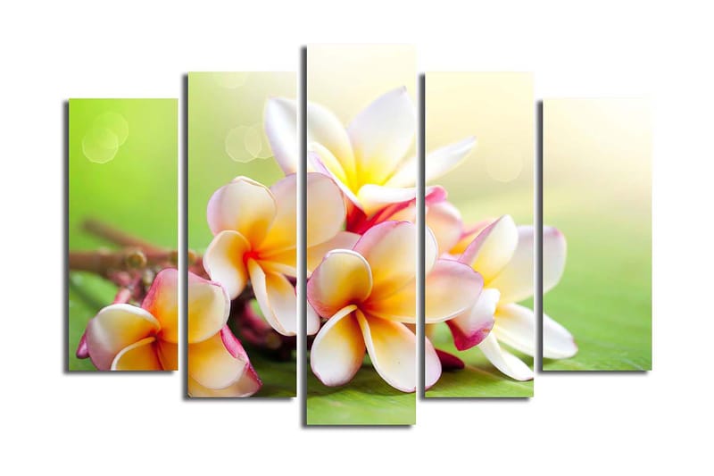 Fototapet 5 stk Flerfarvet, 11x96 cm