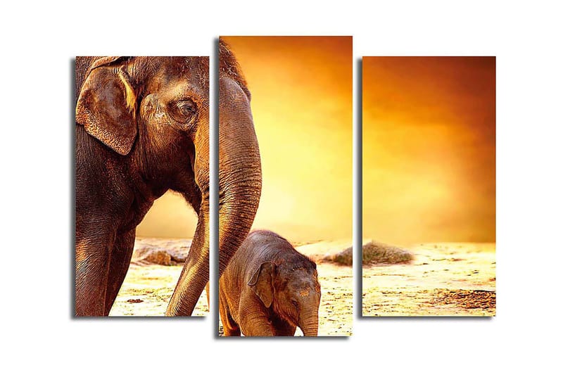 Fototapet Animal 3 stk Flerfarvet - 22x03 cm - Boligtilbehør - Billeder & kunst - Billeder på lærred