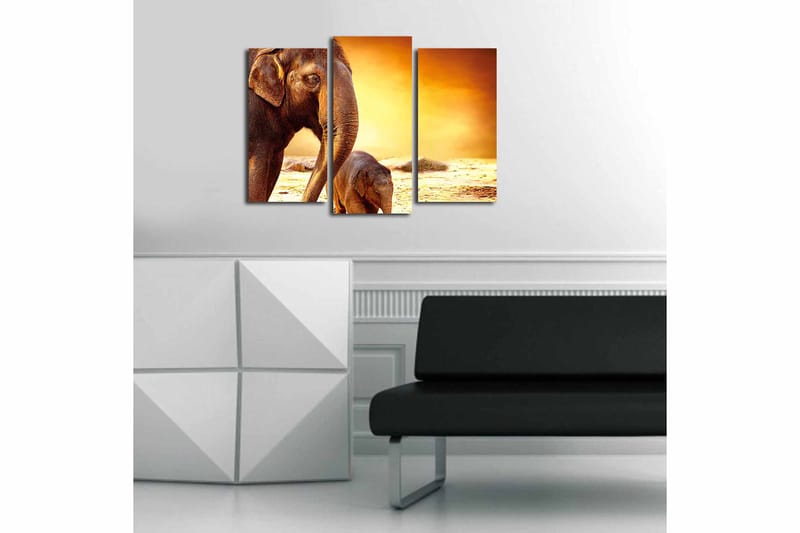 Fototapet Animal 3 stk Flerfarvet - 22x03 cm - Boligtilbehør - Billeder & kunst - Billeder på lærred