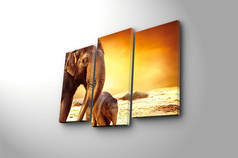 Fototapet Animal 3 stk Flerfarvet - 22x03 cm - Boligtilbehør - Billeder & kunst - Billeder på lærred