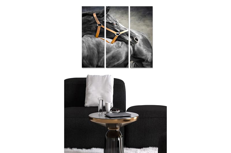Fototapet Animal 3 stk Flerfarvet - 22x05 cm - Boligtilbehør - Billeder & kunst - Billeder på lærred