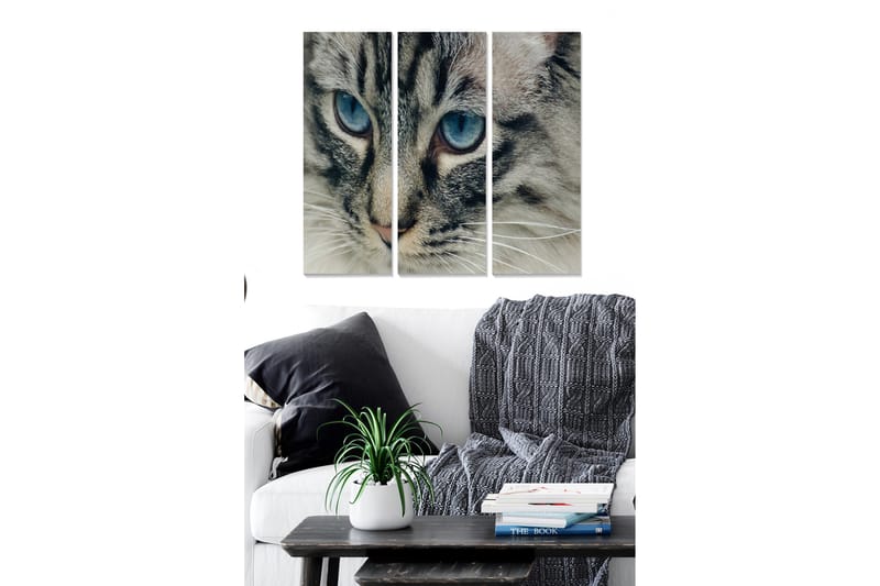 Fototapet Animal 3 stk Flerfarvet - 22x05 cm - Boligtilbehør - Billeder & kunst - Billeder på lærred