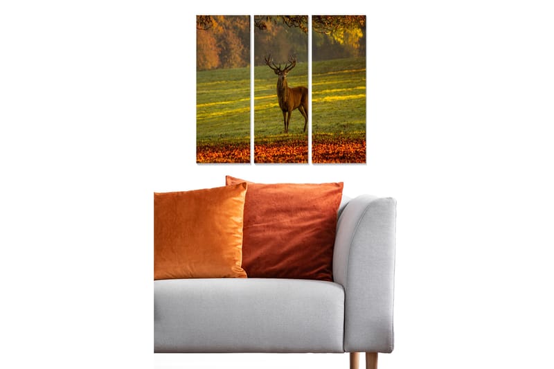 Fototapet Animal 3 stk Flerfarvet - 22x05 cm - Boligtilbehør - Billeder & kunst - Billeder på lærred