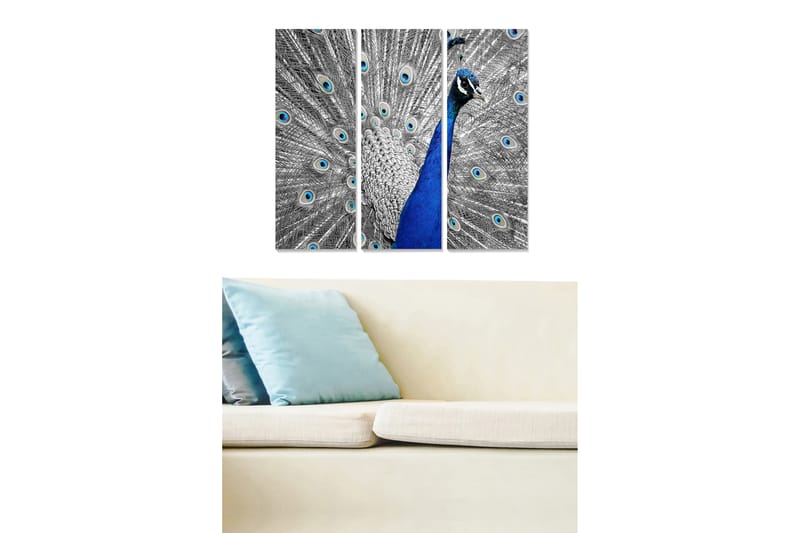 Fototapet Animal 3 stk Flerfarvet - 22x05 cm - Boligtilbehør - Billeder & kunst - Billeder på lærred