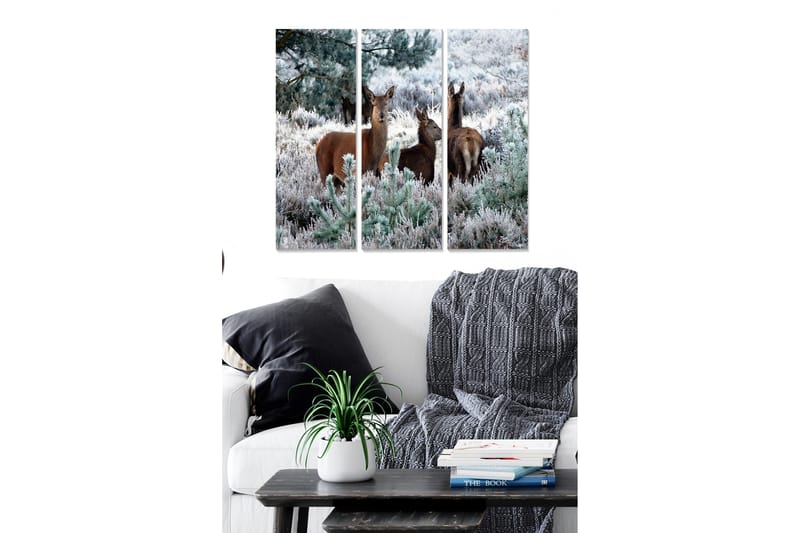 Fototapet Animal 3 stk Flerfarvet - 22x05 cm - Boligtilbehør - Billeder & kunst - Billeder på lærred