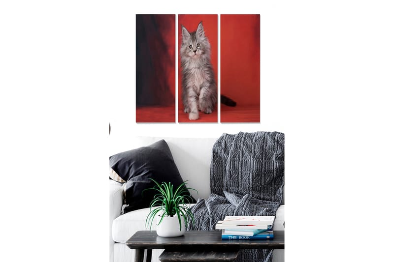 Fototapet Animal 3 stk Flerfarvet - 22x05 cm - Boligtilbehør - Billeder & kunst - Billeder på lærred