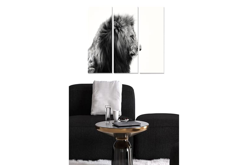 Fototapet Animal 3 stk Flerfarvet - 22x05 cm - Boligtilbehør - Billeder & kunst - Billeder på lærred