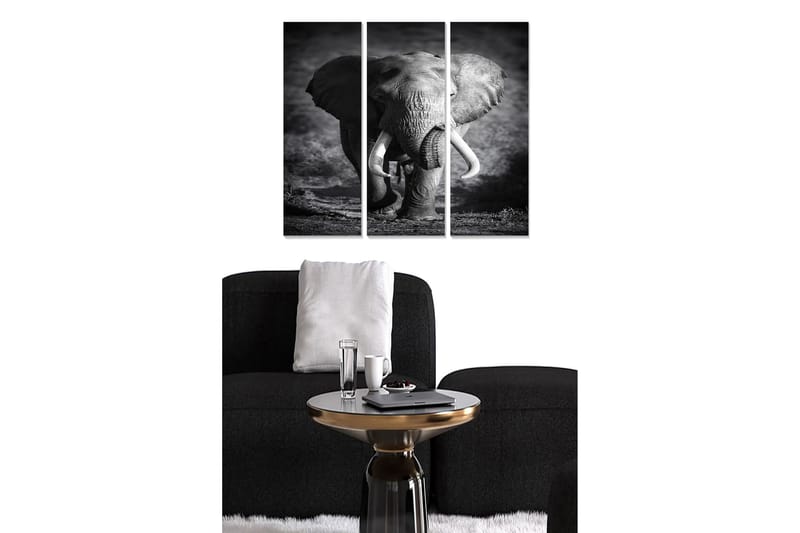 Fototapet Animal 3 stk Flerfarvet - 22x05 cm - Boligtilbehør - Billeder & kunst - Billeder på lærred