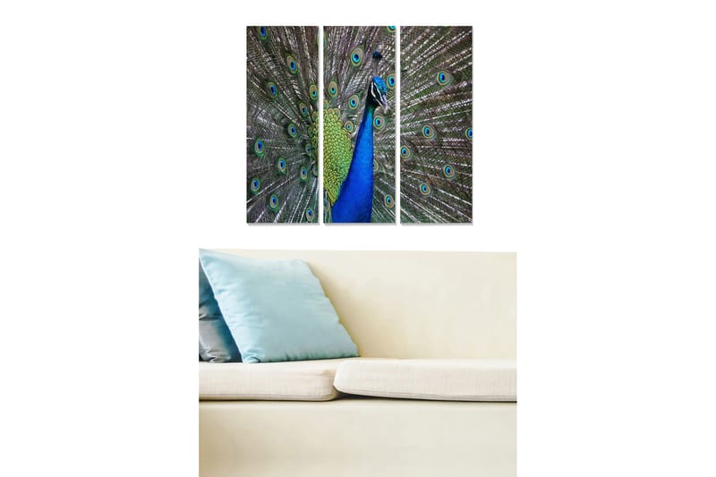Fototapet Animal 3 stk Flerfarvet - 22x05 cm - Boligtilbehør - Billeder & kunst - Billeder på lærred