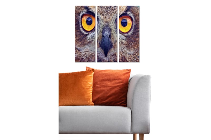 Fototapet Animal 3 stk Flerfarvet - 22x05 cm - Boligtilbehør - Billeder & kunst - Billeder på lærred