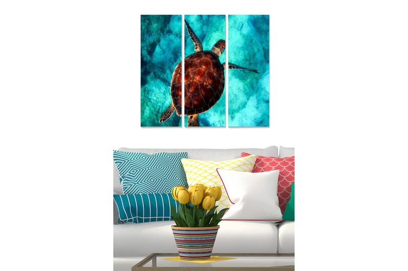 Fototapet Animal 3 stk Flerfarvet - 22x05 cm - Boligtilbehør - Billeder & kunst - Billeder på lærred